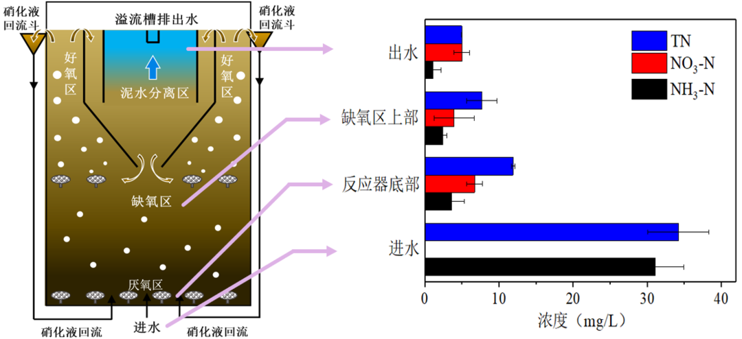 888�ڲ���-����Ϊ��,רҵЧ��