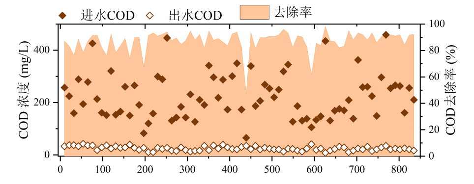 888�ڲ���-����Ϊ��,רҵЧ��