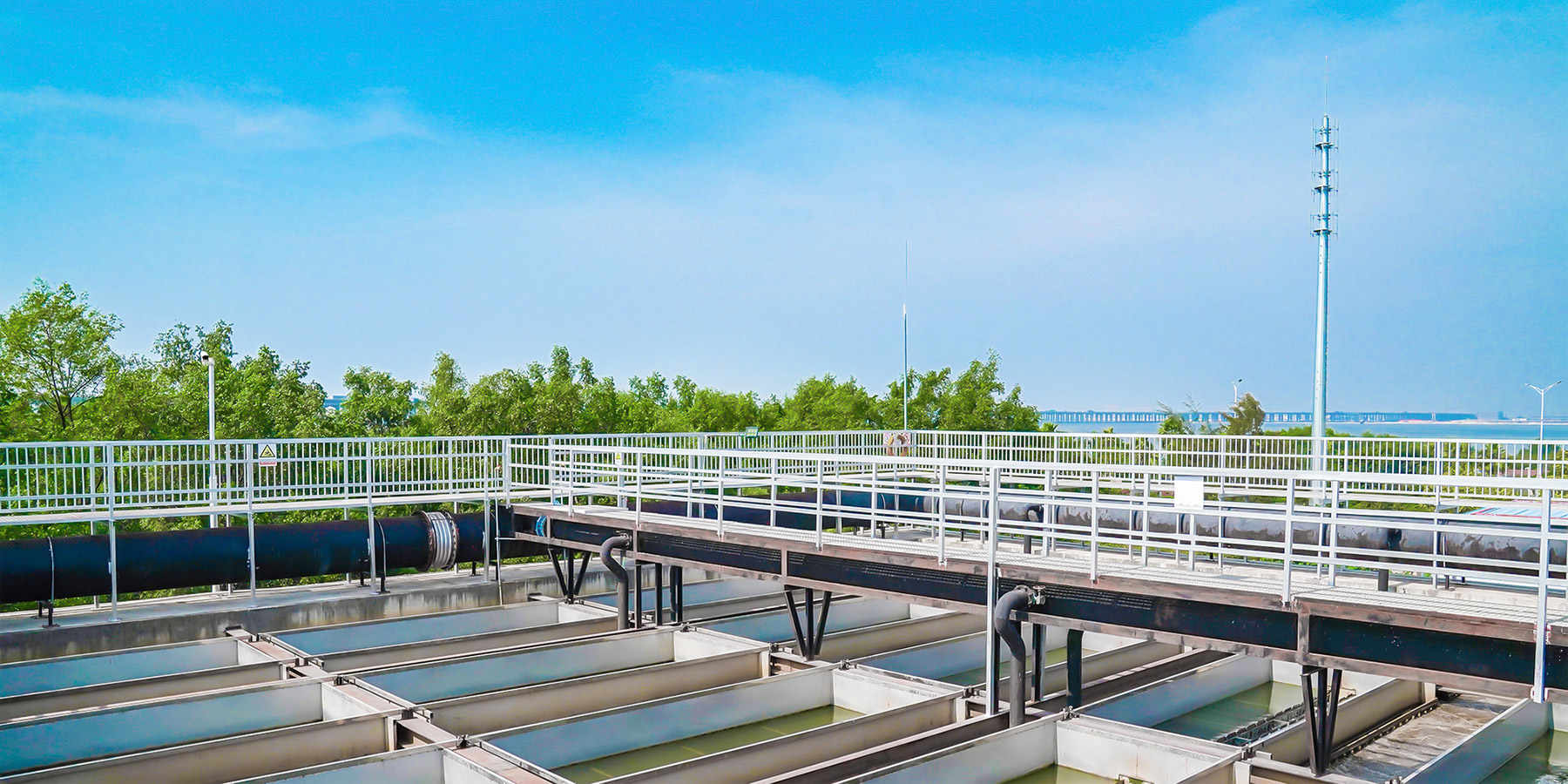 888�ڲ���-����Ϊ��,רҵЧ��