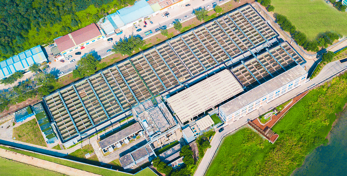 888�ڲ���-����Ϊ��,רҵЧ��