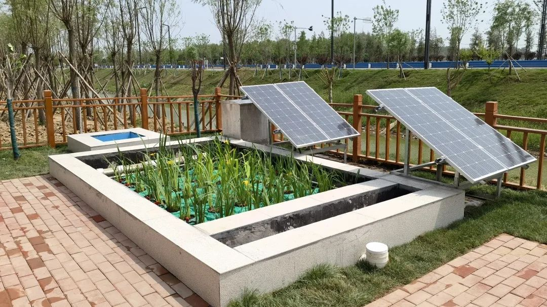 888�ڲ���-����Ϊ��,רҵЧ��