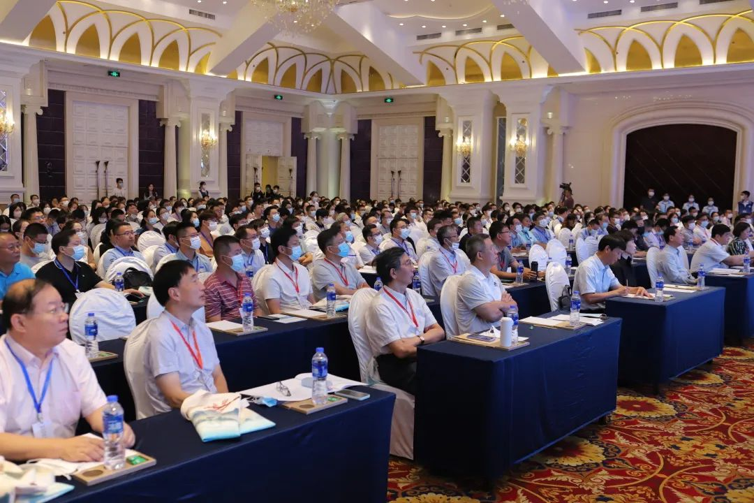 888�ڲ���-����Ϊ��,רҵЧ��