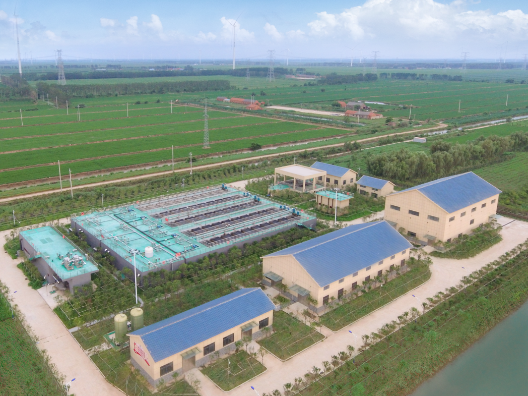 888�ڲ���-����Ϊ��,רҵЧ��