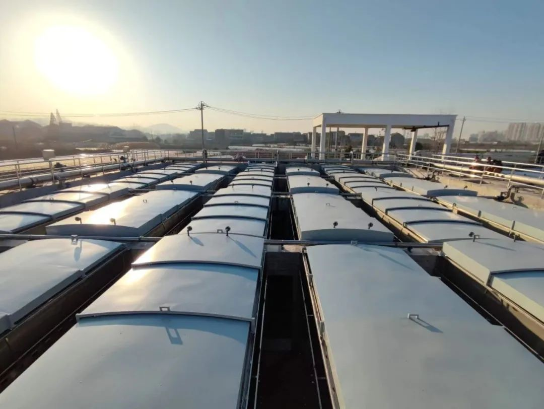 888�ڲ���-����Ϊ��,רҵЧ��