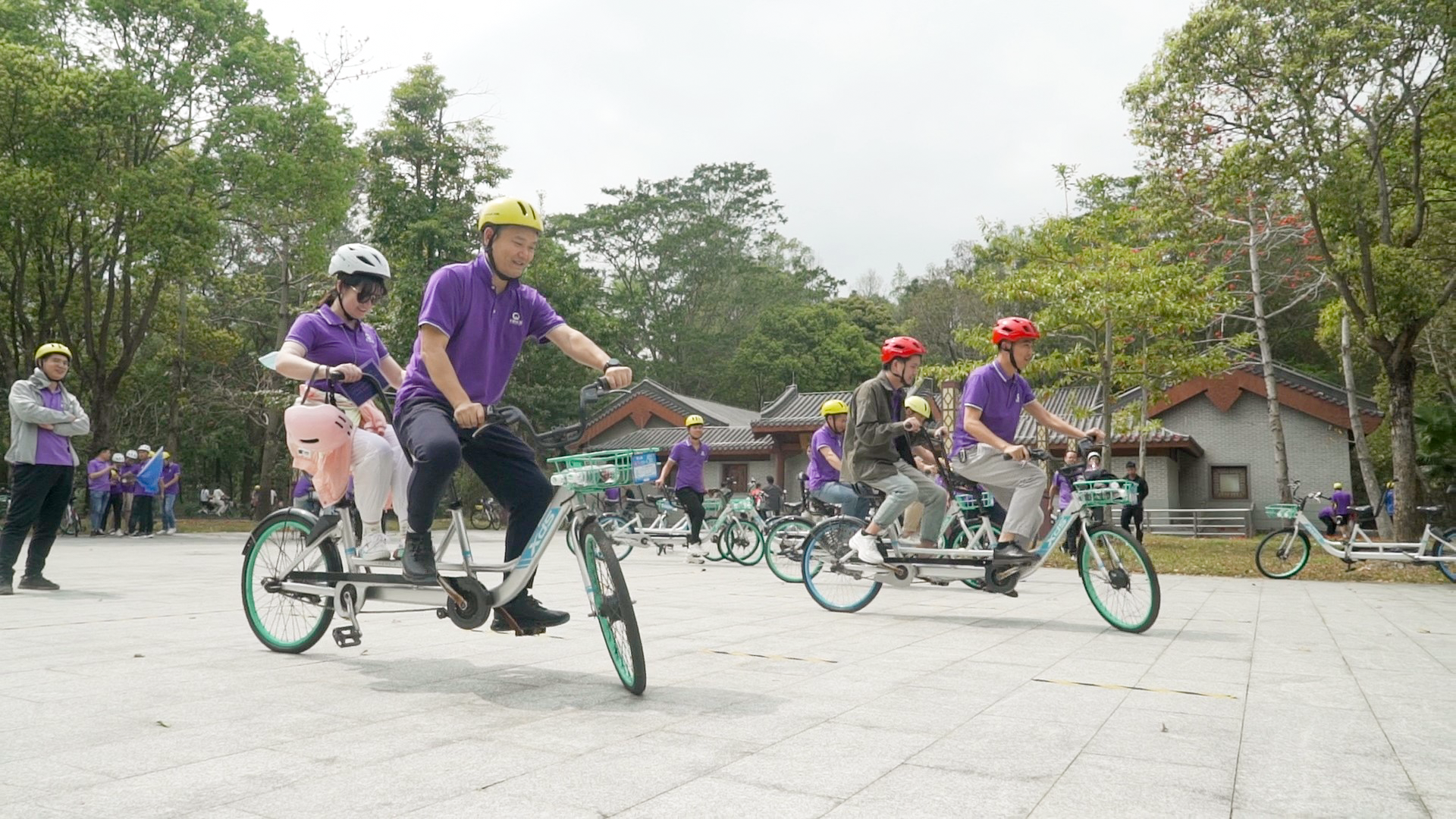 888�ڲ���-����Ϊ��,רҵЧ��