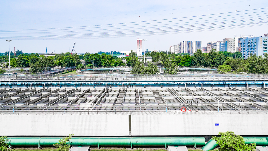 888�ڲ���-����Ϊ��,רҵЧ��