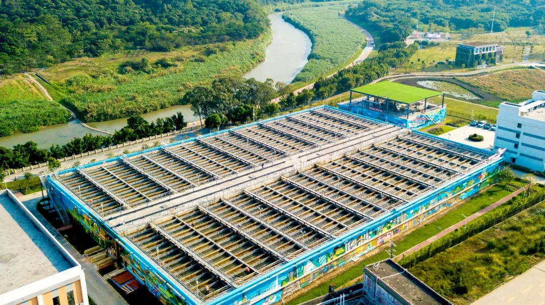 888�ڲ���-����Ϊ��,רҵЧ��