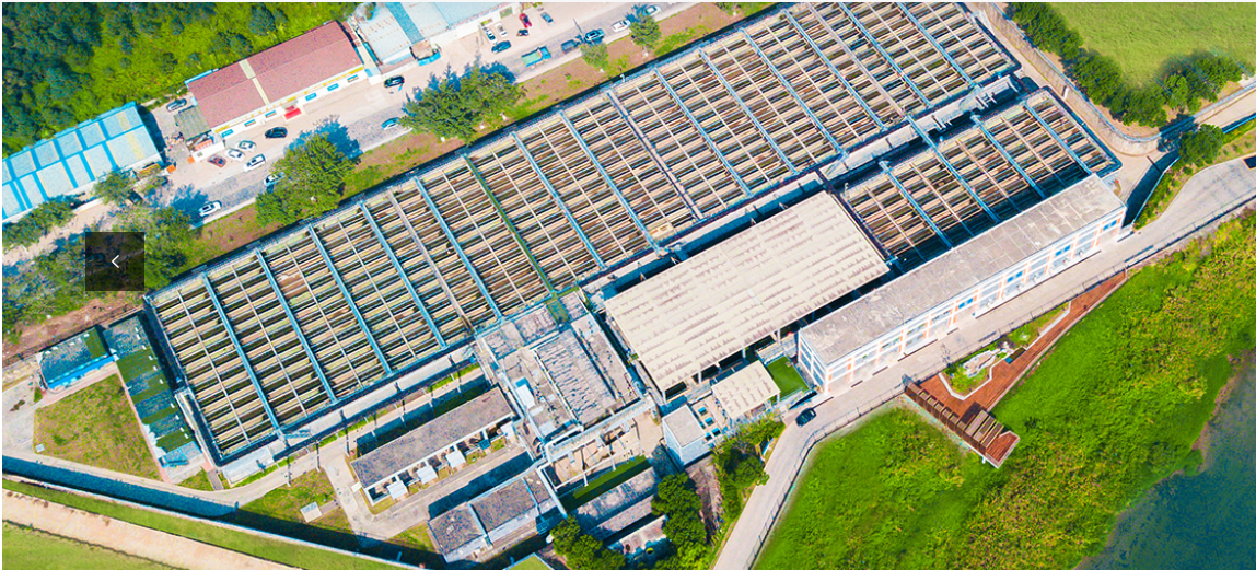 888�ڲ���-����Ϊ��,רҵЧ��