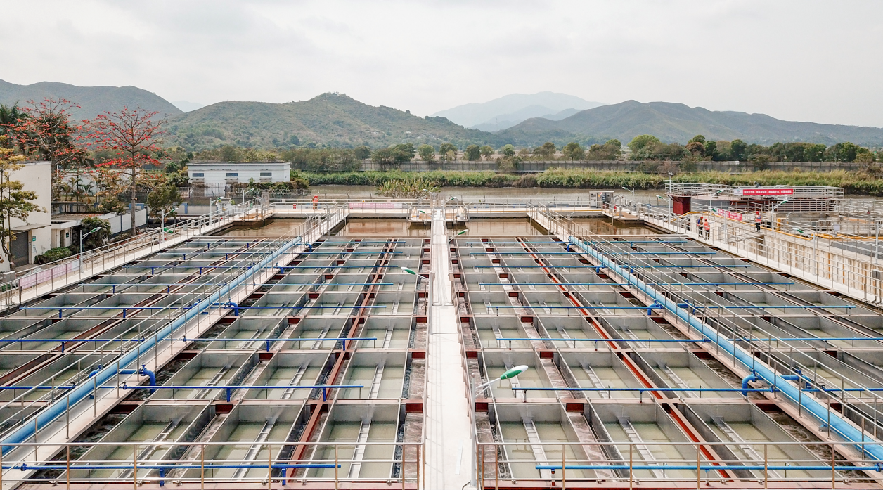 888�ڲ���-����Ϊ��,רҵЧ��