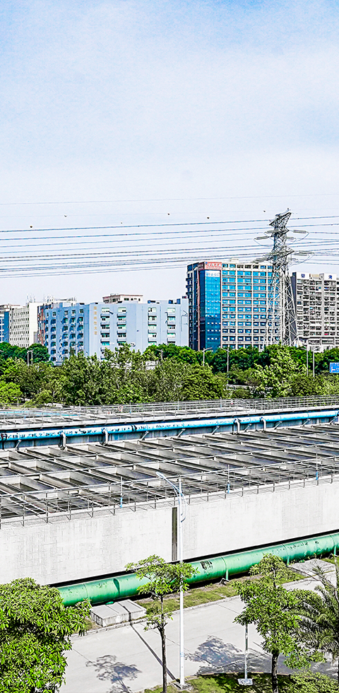 888�ڲ���-����Ϊ��,רҵЧ��