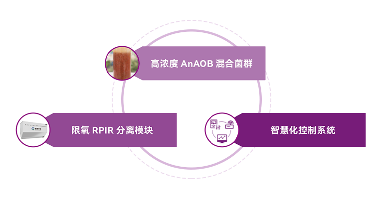 888�ڲ���-����Ϊ��,רҵЧ��