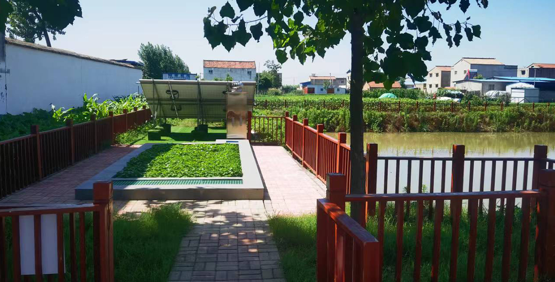 888�ڲ���-����Ϊ��,רҵЧ��