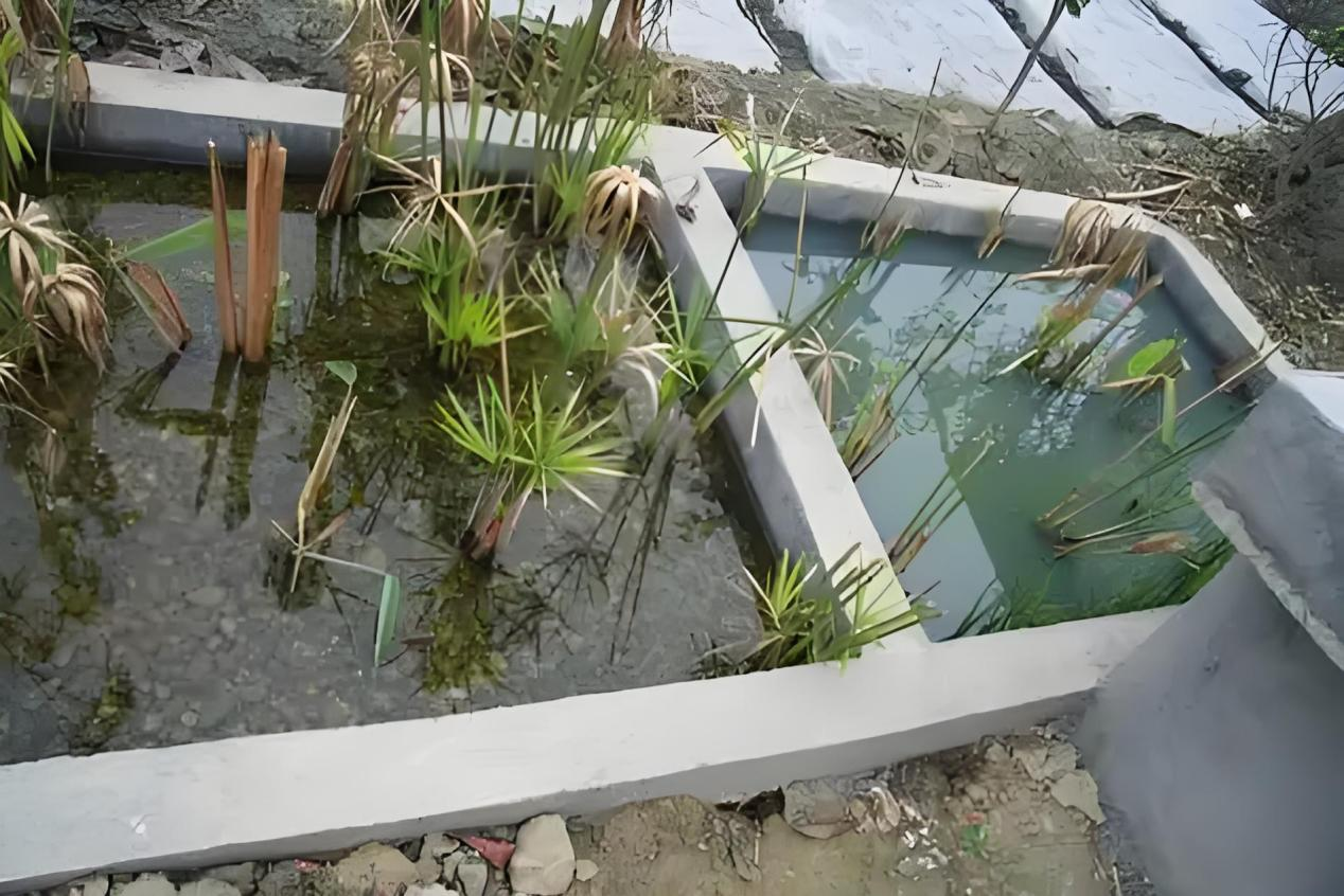 888�ڲ���-����Ϊ��,רҵЧ��