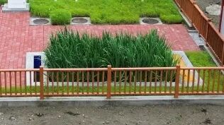 888腾博会-诚信为本,专业效劳